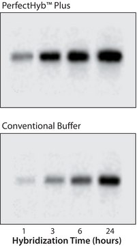 PerfectHyb&#8482; Plus杂交缓冲液 for Northern and Southern blotting, solution