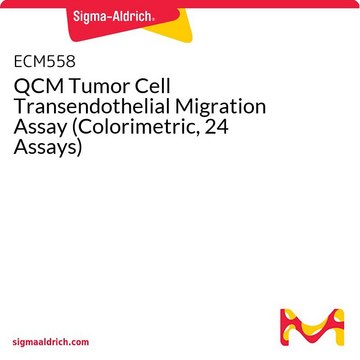 QCM Tumor Cell Transendothelial Migration Assay (Colorimetric, 24 Assays)