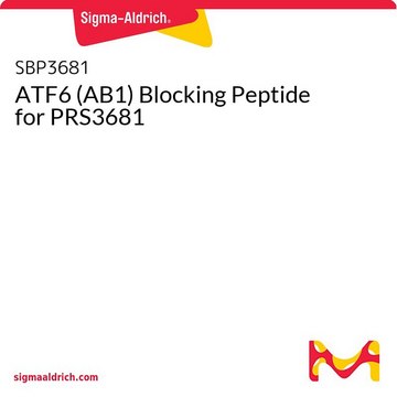 ATF6 (AB1) Blocking Peptide for PRS3681