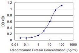 Monoclonal Anti-CD80 antibody produced in mouse clone 1G1, purified immunoglobulin, buffered aqueous solution