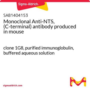 Monoclonal Anti-NTS, (C-terminal) antibody produced in mouse clone 1G8, purified immunoglobulin, buffered aqueous solution