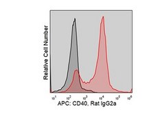 Anti-Mouse CD40 (FGK45) ColorWheel® Dye-Ready mAb