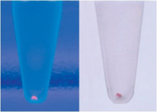 Pellet Paint&#174; NF Co-Precipitant Non-fluorescent visible DNA co-precipitant for automated sequencing applications