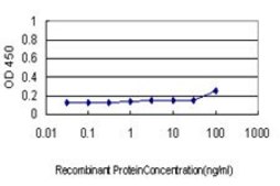 Monoclonal Anti-COX6C antibody produced in mouse clone S51, purified immunoglobulin, buffered aqueous solution