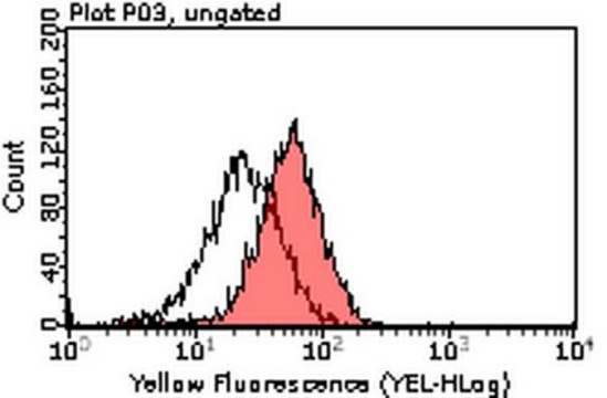 Anti-Tim3 Antibody, clone 5D12 clone 5D12, from mouse