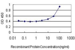 ANTI-TLR9 antibody produced in mouse clone 2H5, purified immunoglobulin, buffered aqueous solution