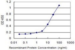 Monoclonal Anti-SOX15 antibody produced in mouse clone 1B3, purified immunoglobulin, buffered aqueous solution