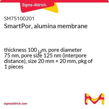 SmartPor, alumina membrane thickness 100&#160;&#956;m, pore diameter 75&#160;nm, pore size 125&#160;nm (interpore distance), size 20&#160;mm × 20&#160;mm, pkg of 1&#160;pieces