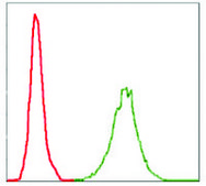 Monoclonal Anti-NEFL antibody produced in mouse clone 2G10, purified immunoglobulin, buffered aqueous solution