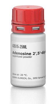 Adenosine 2&#8242;,5&#8242;-diphosphate–Agarose lyophilized powder