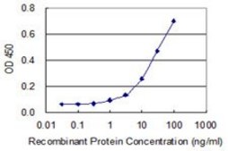 Monoclonal Anti-DIP2A antibody produced in mouse clone 4E6, purified immunoglobulin, buffered aqueous solution