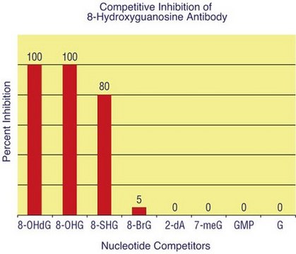 Anti-8-Hydroxydeoxyguanosine Antibody serum, Chemicon&#174;