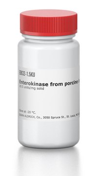 Enterokinase from porcine intestine &#8805;0.5&#160;units/mg solid