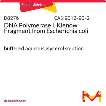 DNA 聚合酶 I, Klenow 片段 来源于大肠杆菌 buffered aqueous glycerol solution