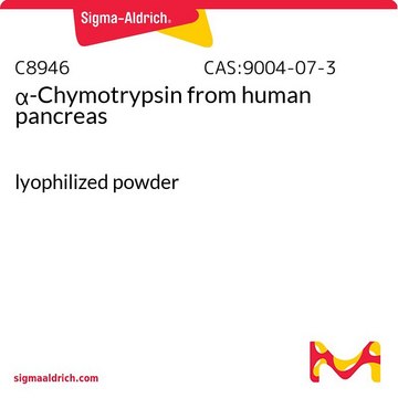 α-糜蛋白酶 来源于人类胰腺 lyophilized powder