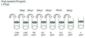 Human TARC / CCL17 ELISA Kit for serum, plasma, cell culture supernatant and urine