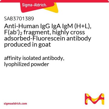 Anti-Human IgG IgA IgM (H+L), F(ab&#8242;)2 fragment, highly cross adsorbed-Fluorescein antibody produced in goat affinity isolated antibody, lyophilized powder