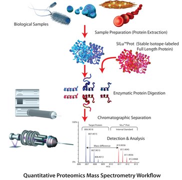 SILu&#8482;Lite CLU Clusterin human recombinant, expressed in HEK 293 cells, MS Protein Standard