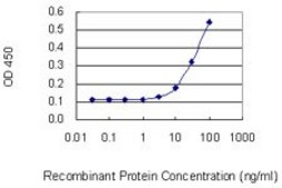Monoclonal Anti-GRP antibody produced in mouse clone 3A11, purified immunoglobulin, buffered aqueous solution