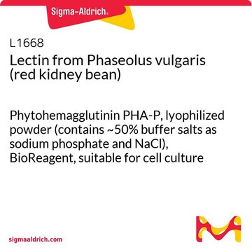 Lectin from Phaseolus vulgaris (red kidney bean) Phytohemagglutinin PHA-P, lyophilized powder (contains ~50% buffer salts as sodium phosphate and NaCl), BioReagent, suitable for cell culture