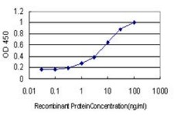 Monoclonal Anti-ZNF202 antibody produced in mouse clone 1E9, purified immunoglobulin, buffered aqueous solution