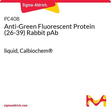 Anti-Green Fluorescent Protein (26-39) Rabbit pAb liquid, Calbiochem&#174;