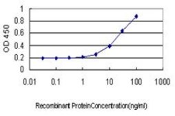 Monoclonal Anti-STAU1 antibody produced in mouse clone 3D8, purified immunoglobulin, buffered aqueous solution