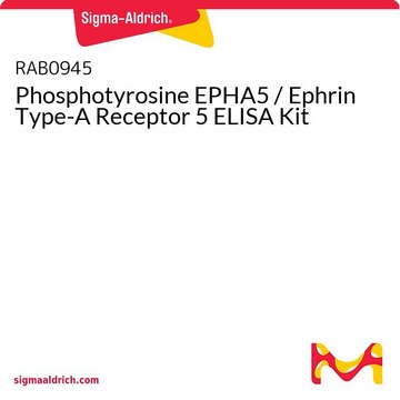 磷酸酪氨酸EPHA5 / Ephrin A型受体5 ELISA试剂盒