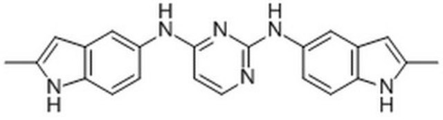 Cdc42/Rac1 Dual Inhibitor, AZA1