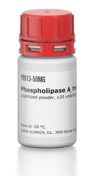 Phospholipase A2 from bovine pancreas lyophilized powder, &#8805;20&#160;units/mg protein