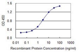 Monoclonal Anti-CHFR antibody produced in mouse clone 2B11, purified immunoglobulin, buffered aqueous solution