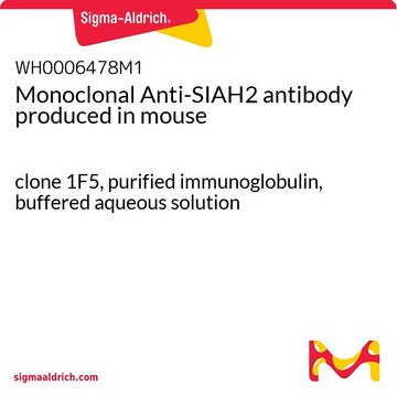 Monoclonal Anti-SIAH2 antibody produced in mouse clone 1F5, purified immunoglobulin, buffered aqueous solution