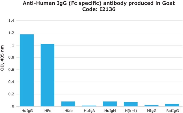 Anti-Human IgG (Fc specific) antibody produced in goat affinity isolated antibody, buffered aqueous solution