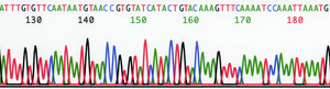 REDExtract-N-Amp™ 种子 PCR 试剂盒 sufficient for 100 extractions, sufficient for 100 amplifications