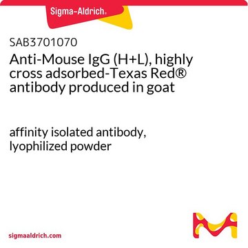Anti-Mouse IgG (H+L), highly cross adsorbed-Texas Red® antibody produced in goat affinity isolated antibody, lyophilized powder