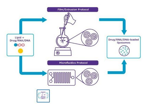 NanoFabTx&#8482;- PEG-RGD Lipid Mix for synthesis of PEGylated RGD-functionalized liposomes