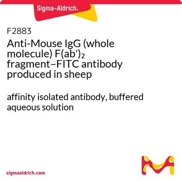 Anti-Mouse IgG (whole molecule) F(ab&#8242;)2 fragment–FITC antibody produced in sheep affinity isolated antibody, buffered aqueous solution