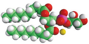 10:0 PG 1,2-didecanoyl-sn-glycero-3-phospho-(1&#8242;-rac-glycerol) (sodium salt), chloroform