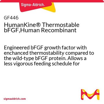 HumKine® 热稳定bFGF，人重组 Engineered bFGF growth factor with enchanced thermostability compared to the wild-type bFGF protein. Allows a less vigorous feeding schedule for human es/ips and neural stem cell culture.