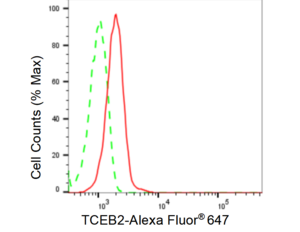 KD-Validated Anti TCEB2 Antibody, clone 23GB5610, Rabbit Monoclonal clone 23GB5610, recombinant rabbit monoclonal, expressed in HEK293 cells