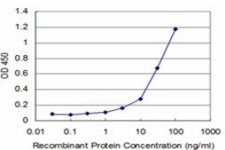 ANTI-STYK1 antibody produced in mouse clone 4A2, purified immunoglobulin, buffered aqueous solution