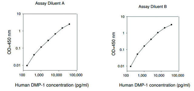 人DMP1 /牙本质基质酸性磷酸蛋白1 ELISA试剂盒 for serum, plasma, cell culture supernatants and urine