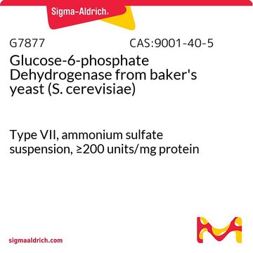 葡萄糖-6-磷酸脱氢酶 来源于面包酵母（酿酒酵母） Type VII, ammonium sulfate suspension, &#8805;200&#160;units/mg protein