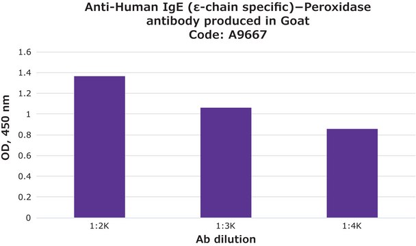 抗 人 IgE（&#949;-链特异性）-过氧物酶 山羊抗 IgG fraction of antiserum, buffered aqueous solution