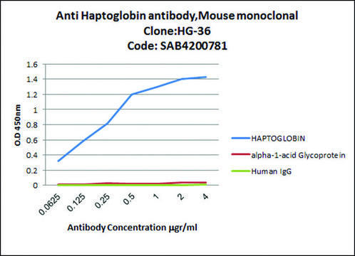 Anti-Haptoglobin antibody, Mouse monoclonal clone HG-36, purified from hybridoma cell culture