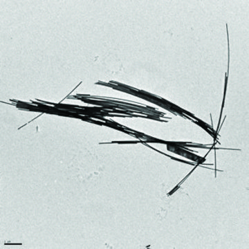 金纳米线 diam. × L 30&#160;nm × 6,000&#160;nm, dispersion (H2O)