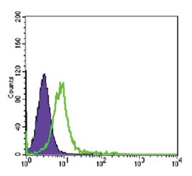 Anti-CHD3 Antibody, clone 2G4 ascites fluid, clone 2G4, from mouse