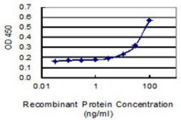 Monoclonal Anti-SAR1A antibody produced in mouse clone 3G5, purified immunoglobulin, buffered aqueous solution