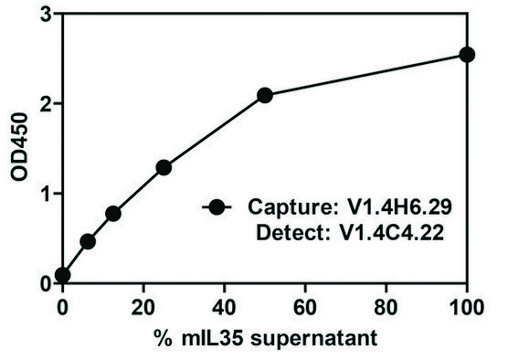 Monoclonal Anti-EBI-3-Biotin antibody produced in mouse clone V1.4C4.22, purified immunoglobulin