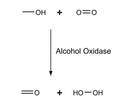 醇氧化酶 来源于博伊丁假丝酵母 lyophilized powder, 5-15&#160;units/mg protein